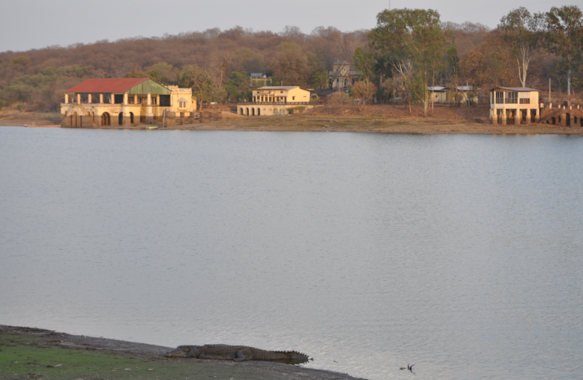 Jadhav Sagar, Shivpuri, Madhya Pradesh - Vushii.com Jadhav Sagar, Shivpuri, Madhya Pradesh - Vushii.com